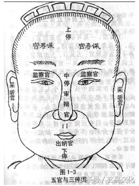 面相解析 京都 五行